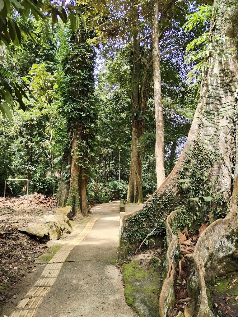 Gambar galeri Taman Rimba Bukit Mertajam
