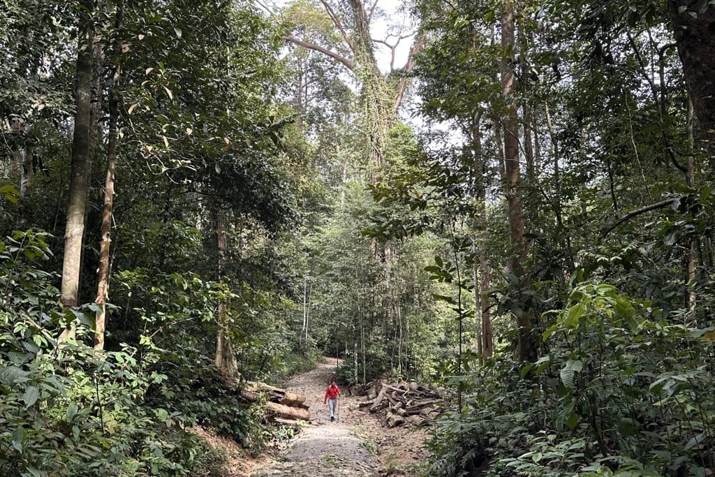 Gambar Taman Negeri Bukit Panchor