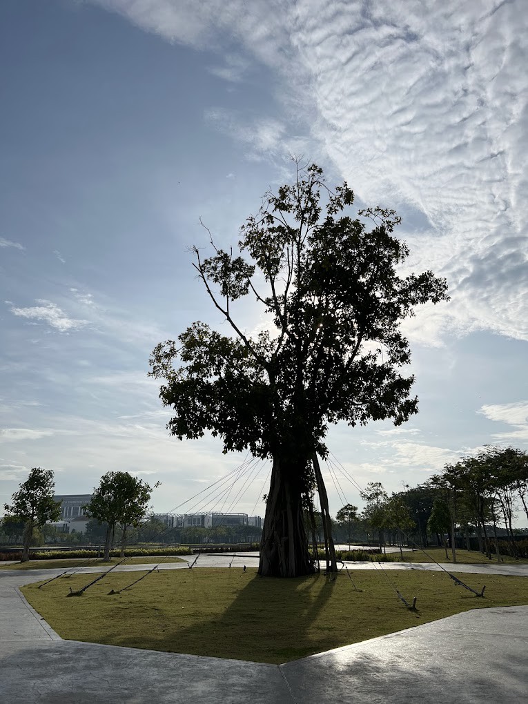 Gambar galeri Central Island Park Batu Kawan