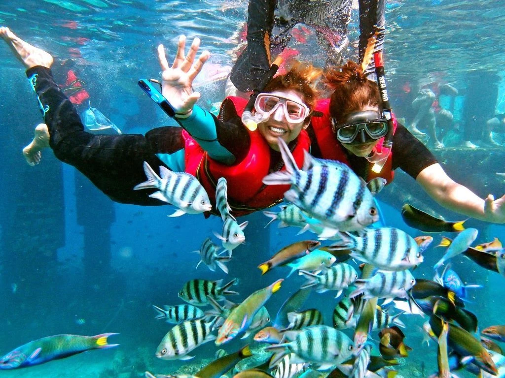 Pulau Redang (Redang Island) — galeri 3