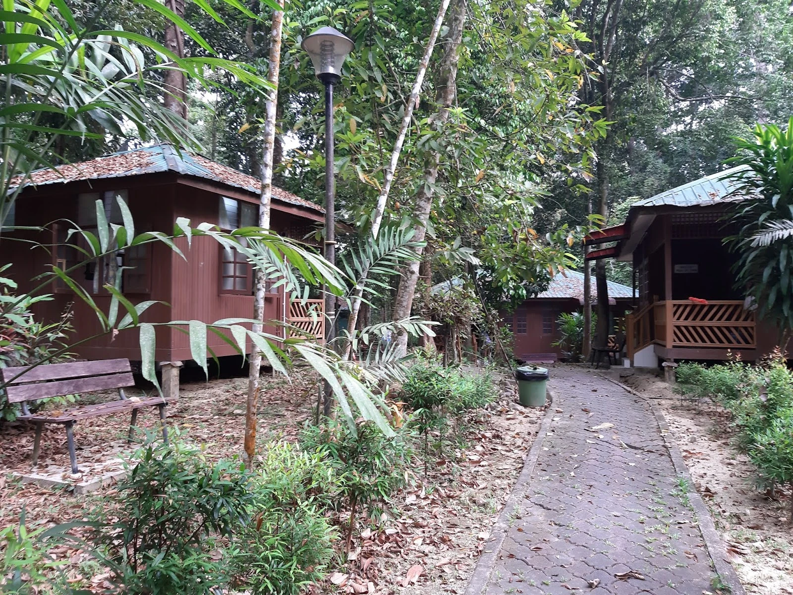 Lata Tembakah — galeri 2