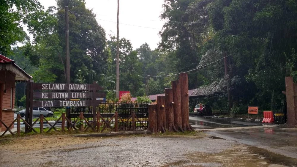 Lata Tembakah — galeri 1