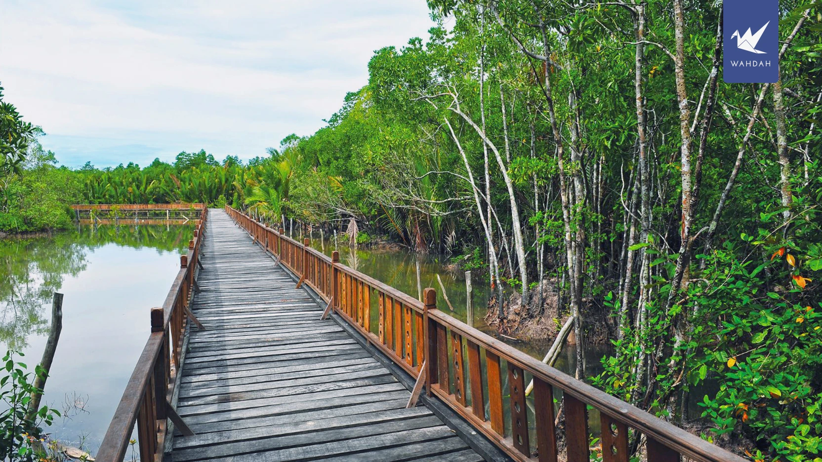 Setiu Wetlands (Boardwalk) — galeri 2