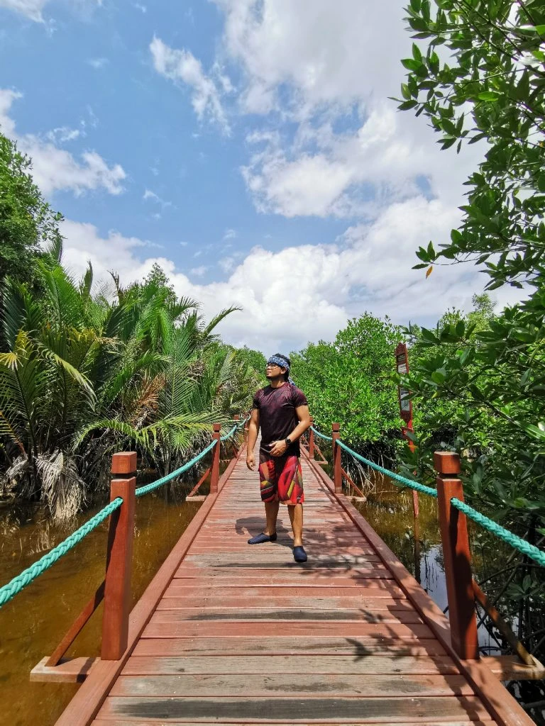 Setiu Wetlands (Boardwalk) — galeri 1