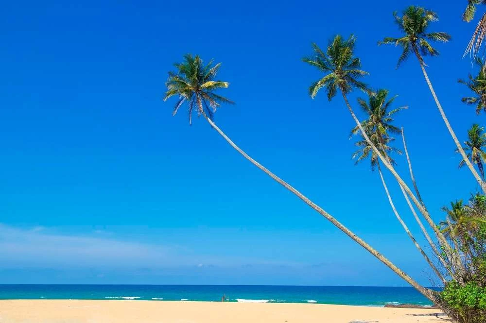 Gambar Pantai Penarik