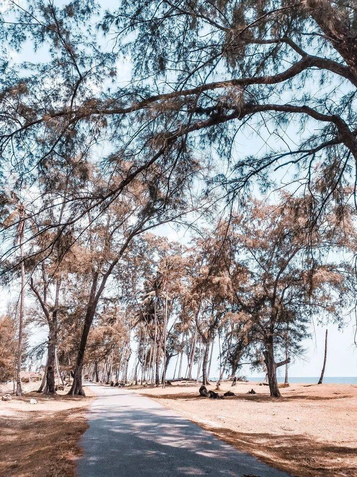 Pantai Mangkuk — galeri 1
