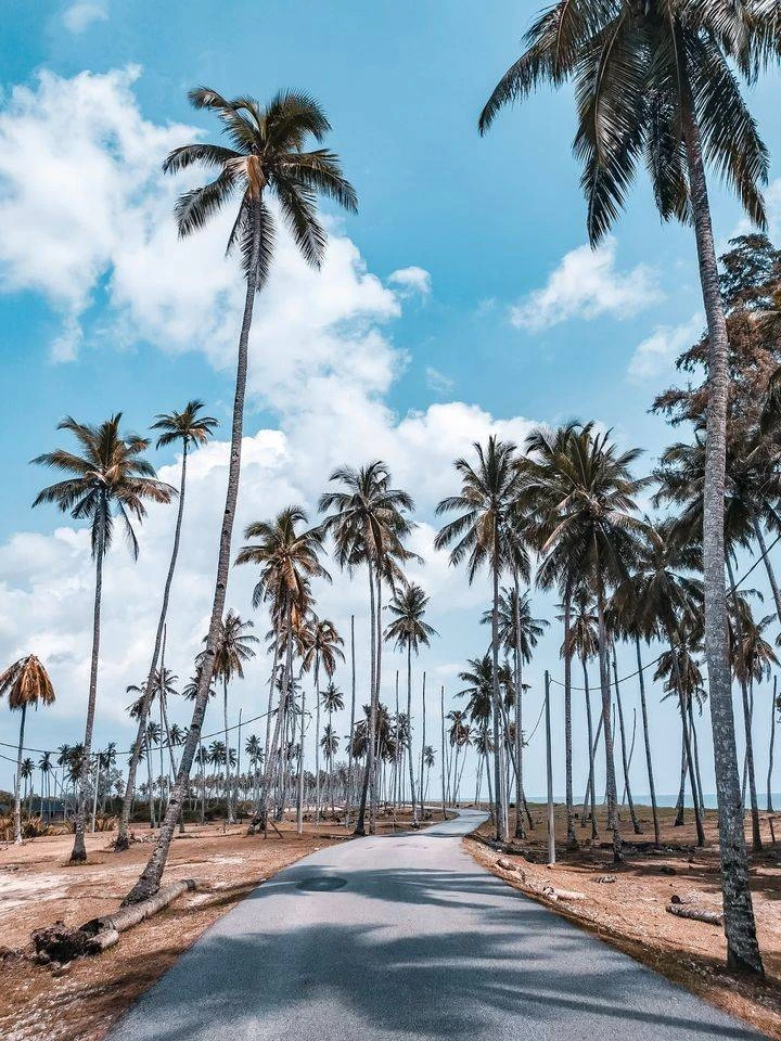 Pantai Mangkuk — galeri 3