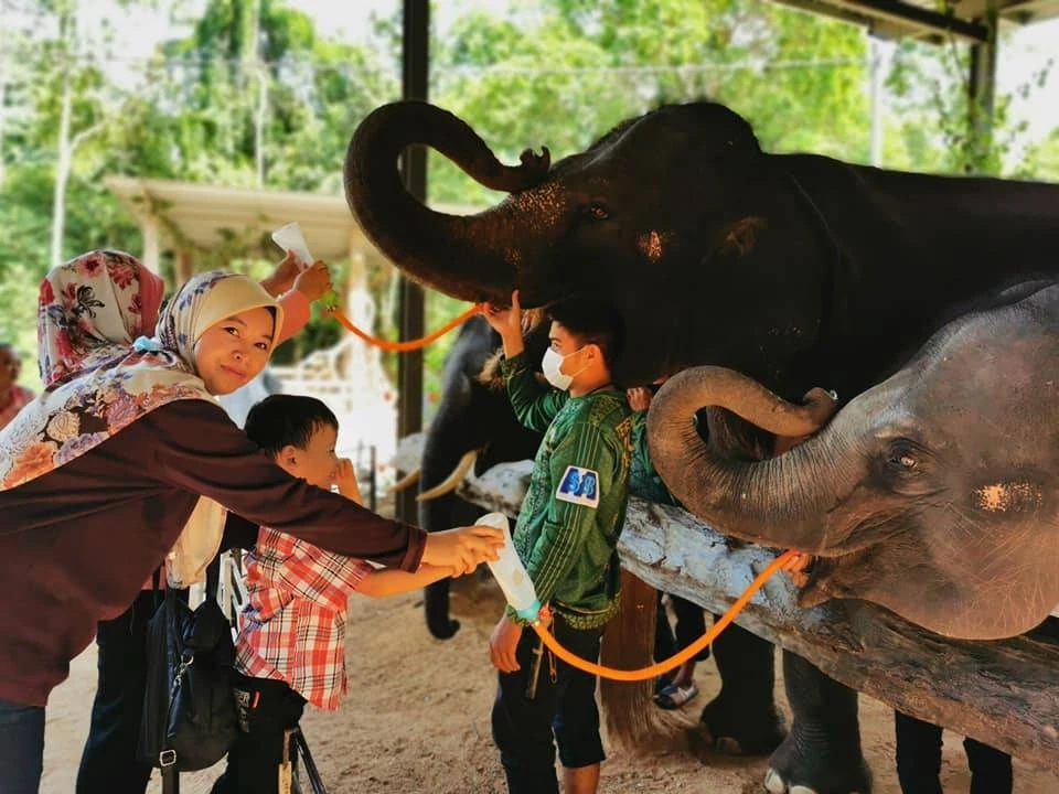Kenyir Elephant Cultural Village (KECV) — galeri 1