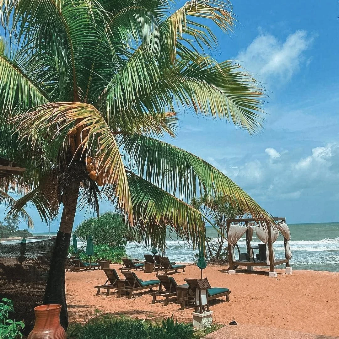 Pantai Tanjung Jara — galeri 2
