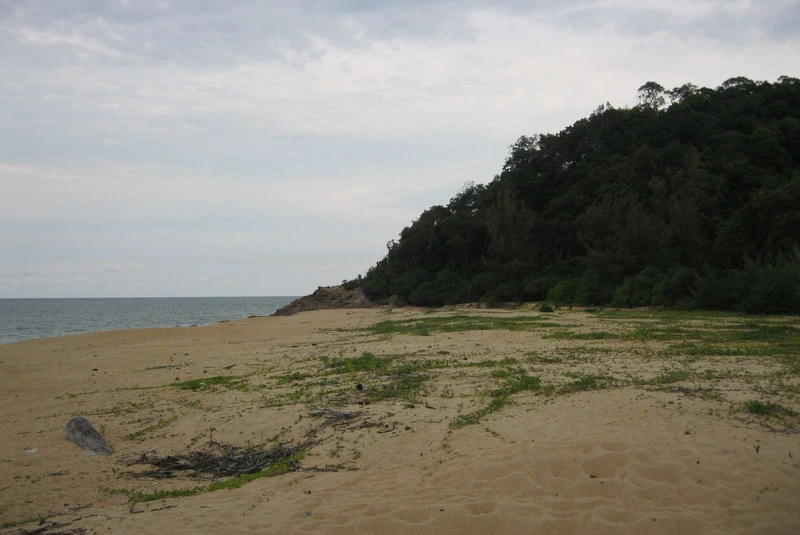 Gambar Pantai Teluk Mak Nik
