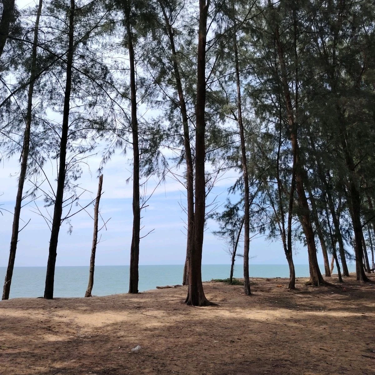 Pantai Teluk Mak Nik — galeri 1