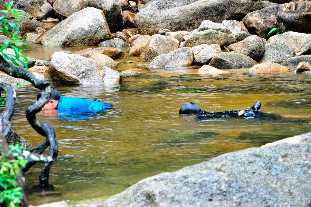 Hutan Lipur Air Menderu — galeri 2