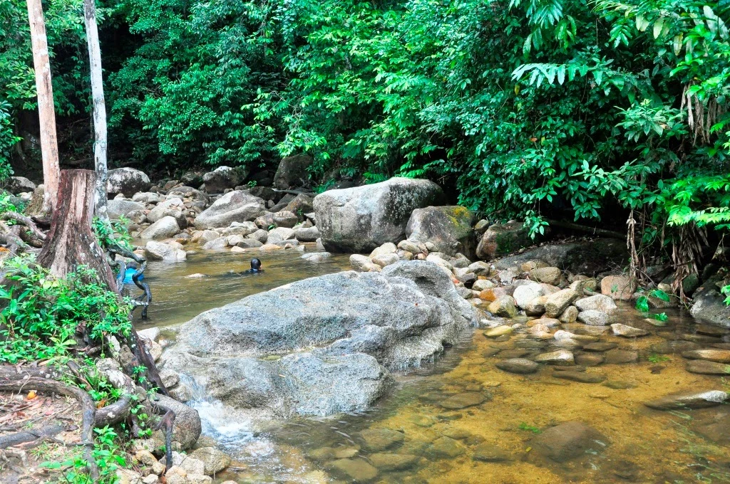 Hutan Lipur Air Menderu — galeri 3