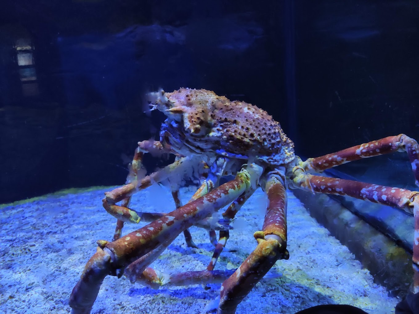 Gambar galeri Underwater World Langkawi