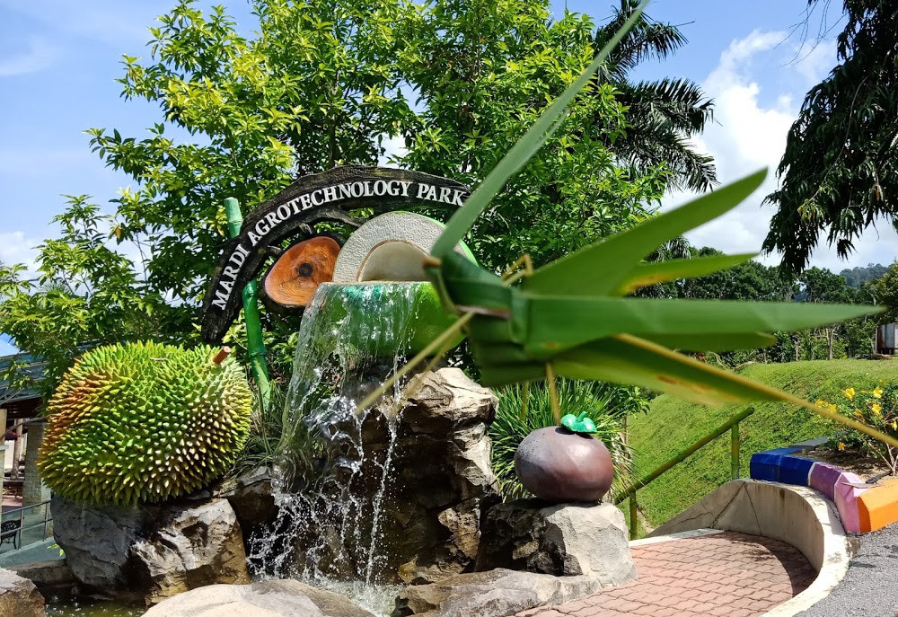 Gambar galeri Taman Agroteknologi MARDI Langkawi