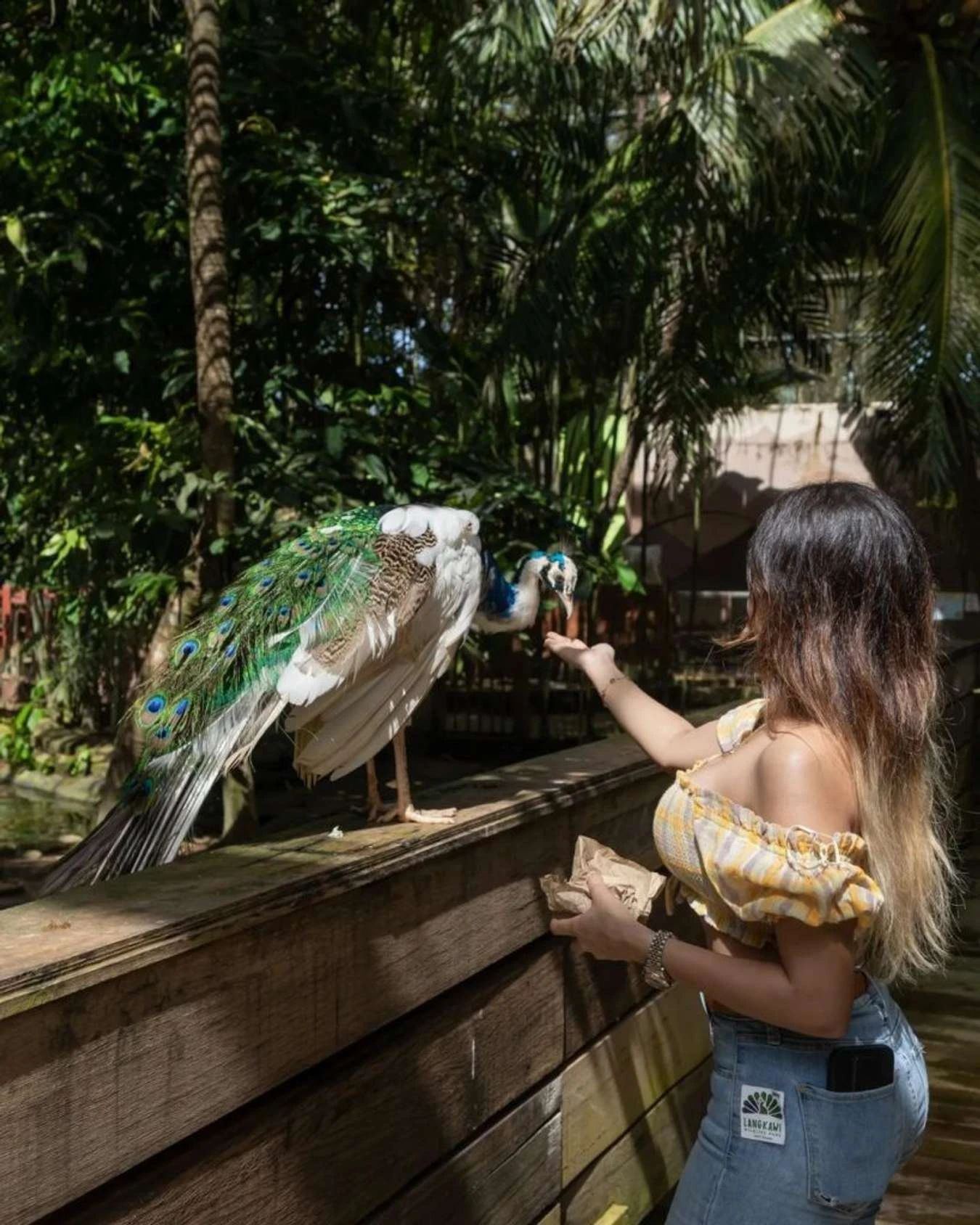 Langkawi Wildlife Park — galeri 2