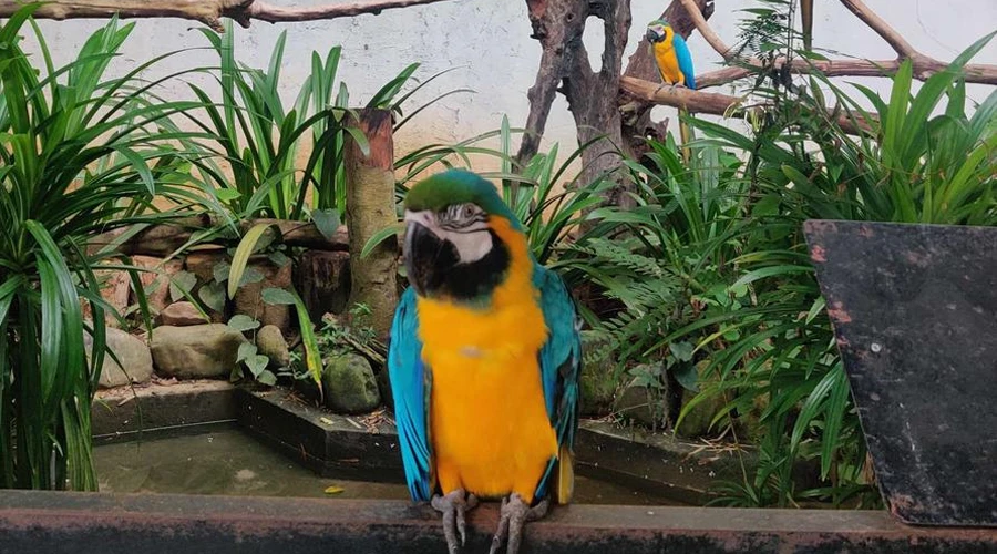 Langkawi Wildlife Park — galeri 1