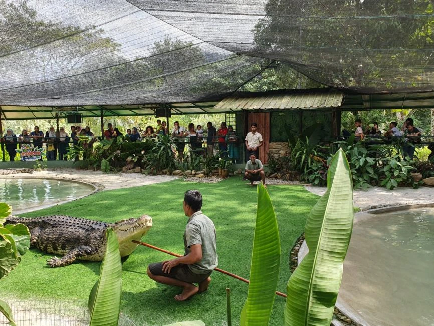 Crocodile Adventureland Langkawi — galeri 3