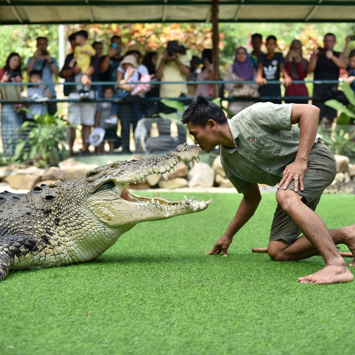 Crocodile Adventureland Langkawi — galeri 2