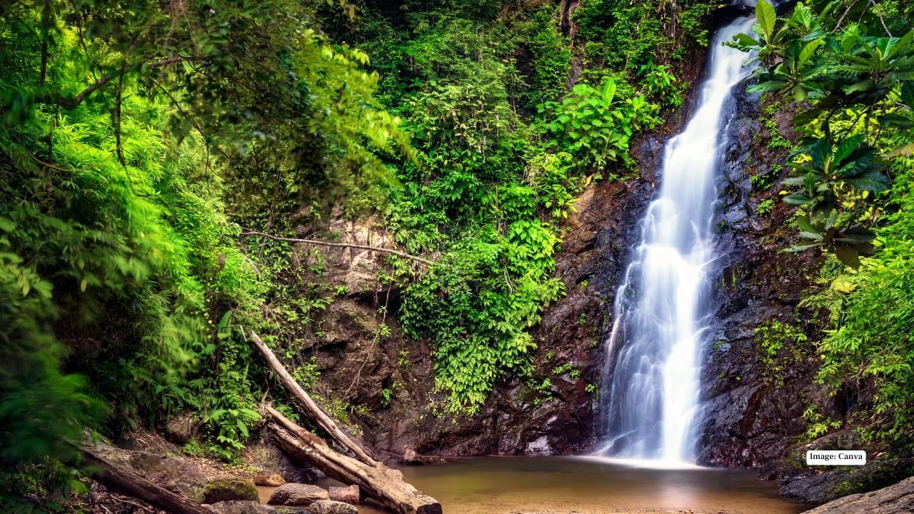 Durian Perangin Waterfall (Air Terjun Durian Perangin) — galeri 3