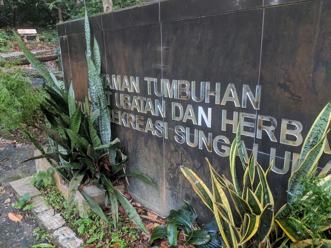Gambar galeri Hutan Rekreasi Sungai Udang