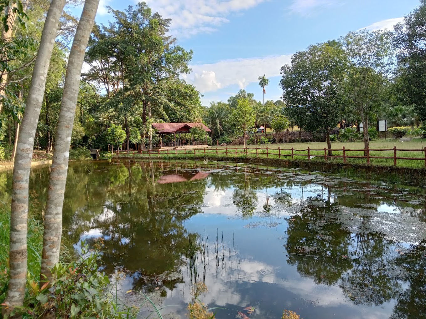 Gambar galeri Hutan Rekreasi Sungai Udang