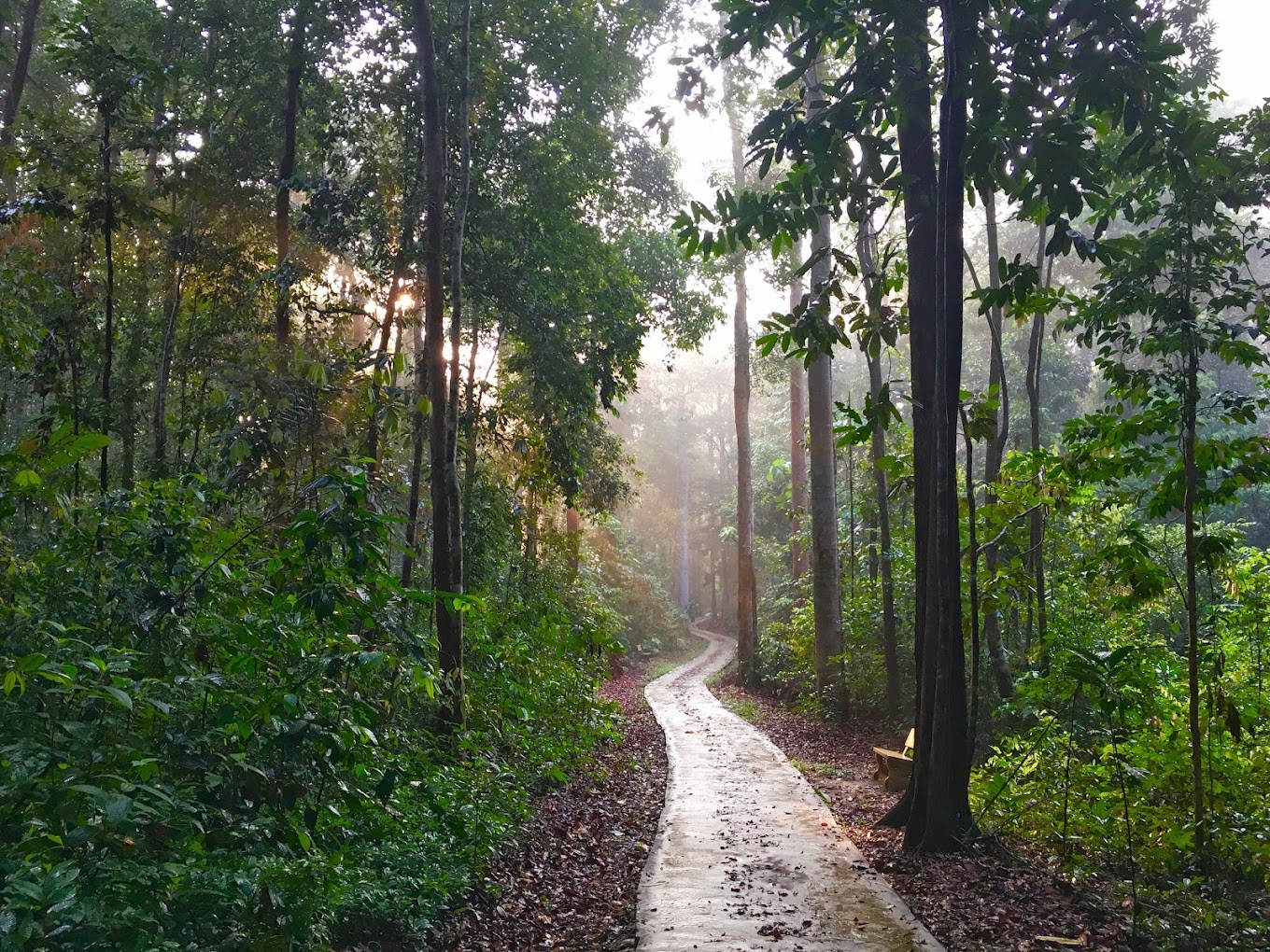 Gambar galeri Hutan Rekreasi Sungai Udang
