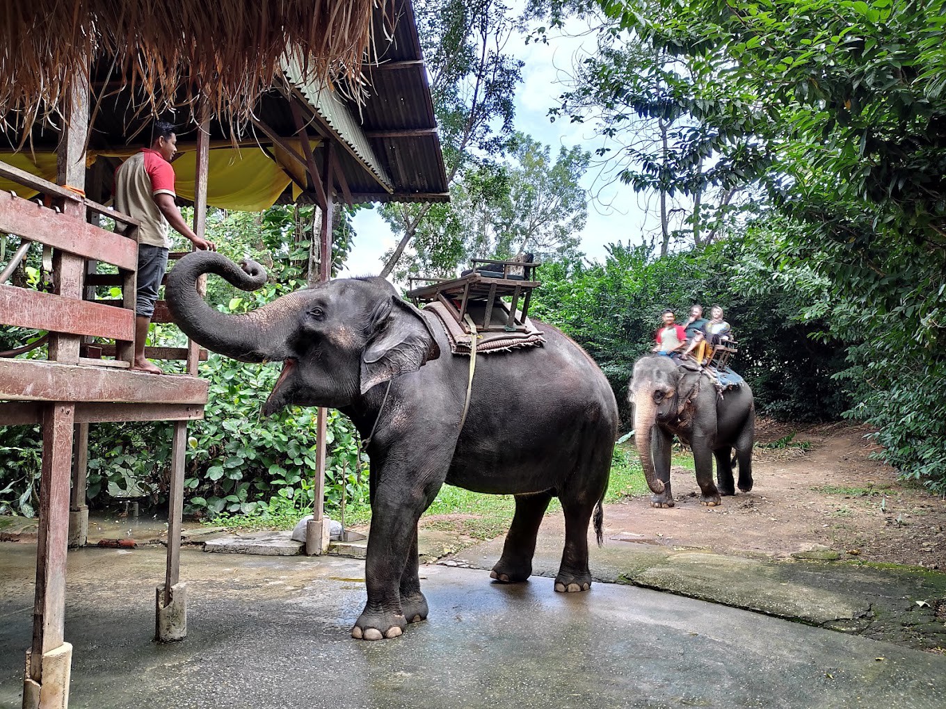 Gambar galeri A'Famosa Safari Wonderland
