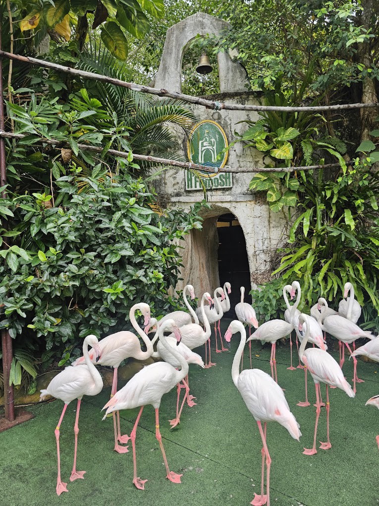 Gambar galeri A'Famosa Safari Wonderland