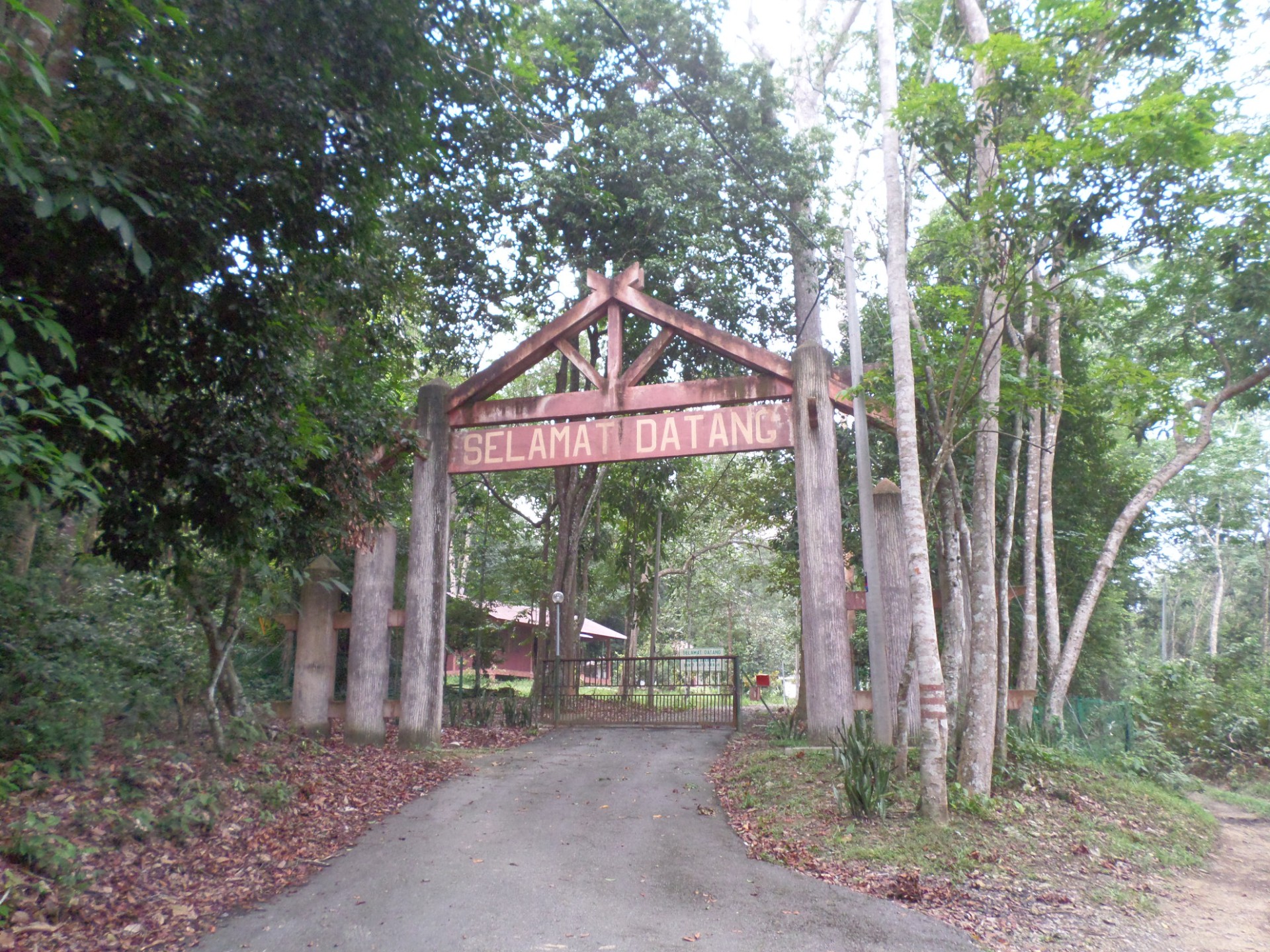 Gambar galeri Hutan Rekreasi Bukit Batu Lebah