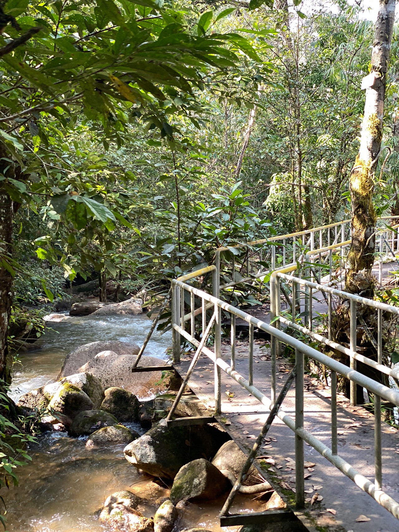 Taman Eko Rimba Lata Jarum — galeri 2