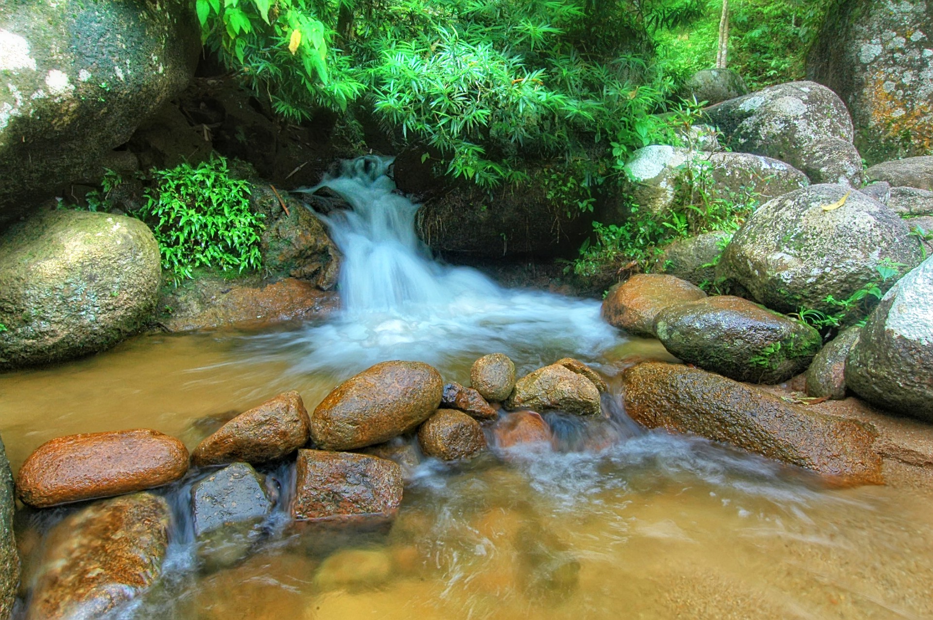 Gambar galeri Taman Eko Rimba Lata Jarum