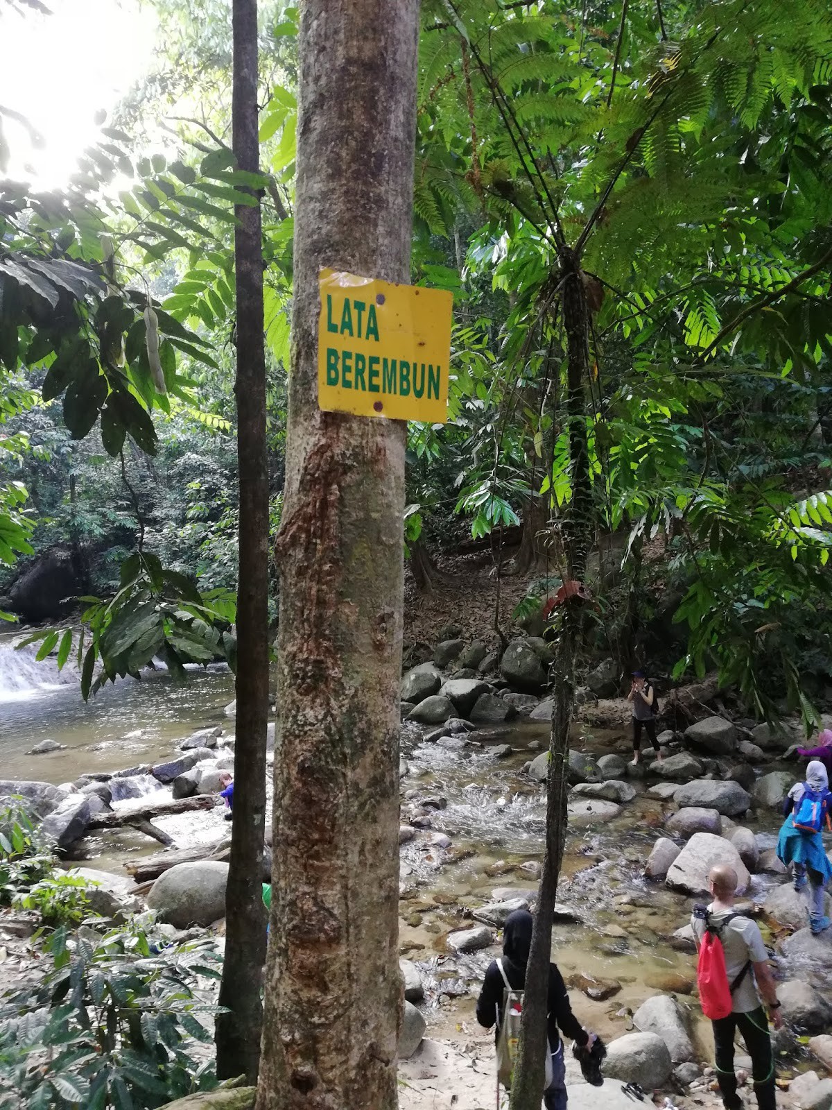 Taman Eko Rimba Lata Berembun — galeri 2