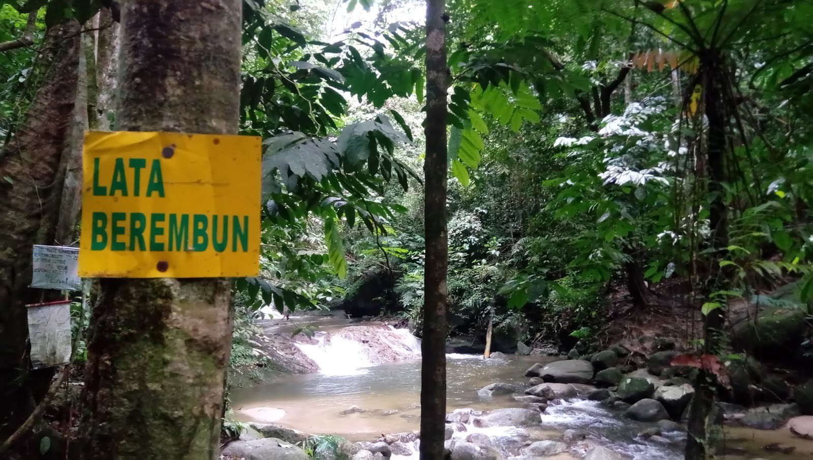 Taman Eko Rimba Lata Berembun — galeri 3