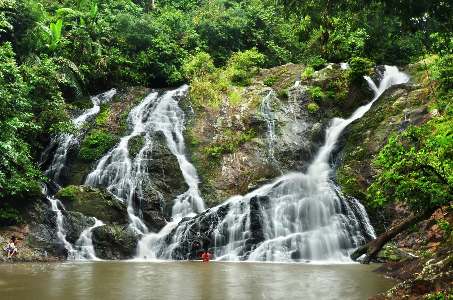 Taman Eko Rimba Lata Meraung — galeri 3