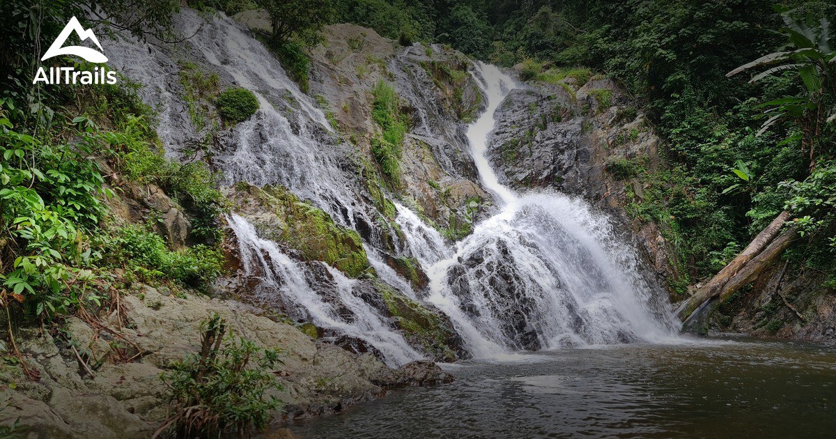 Taman Eko Rimba Lata Meraung — galeri 2