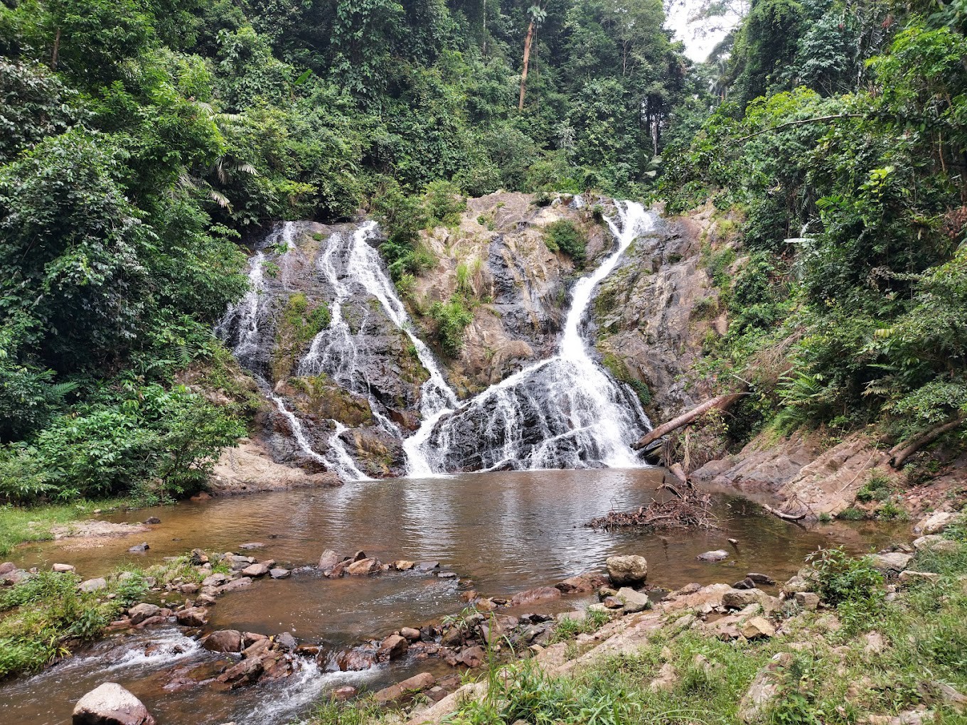 Taman Eko Rimba Lata Meraung — galeri 4
