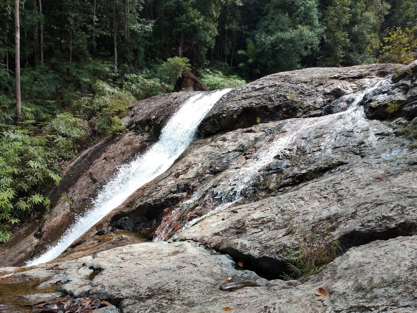 Taman Eko Rimba Ulu Jerangsang — galeri 3