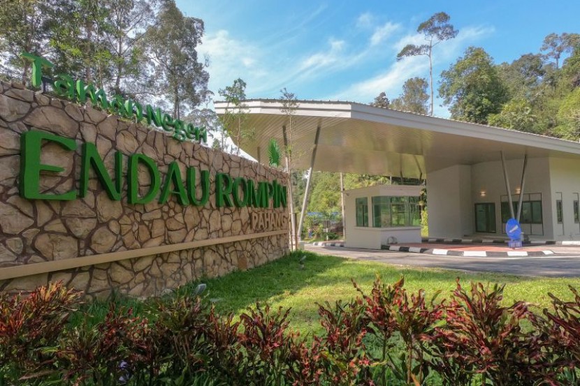 Taman Negeri Endau-Rompin Pahang — galeri 2