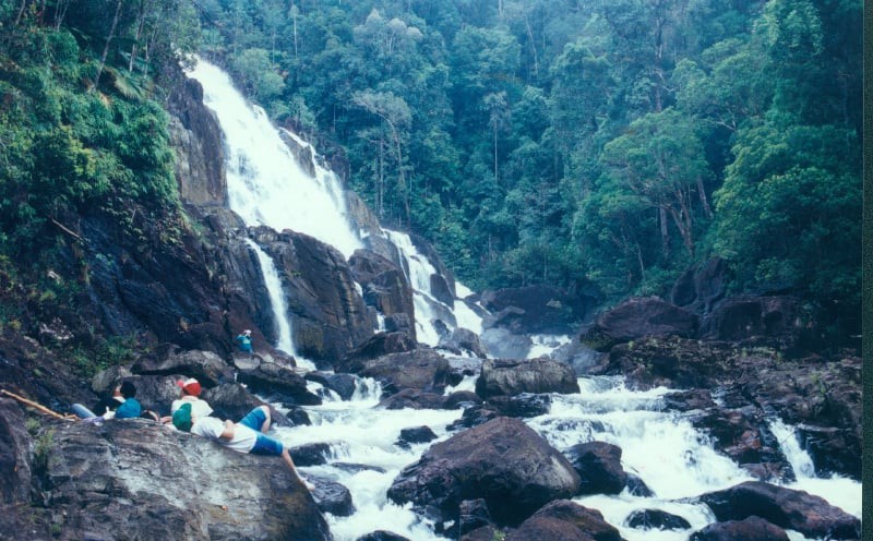 Taman Negeri Endau-Rompin Pahang — galeri 4