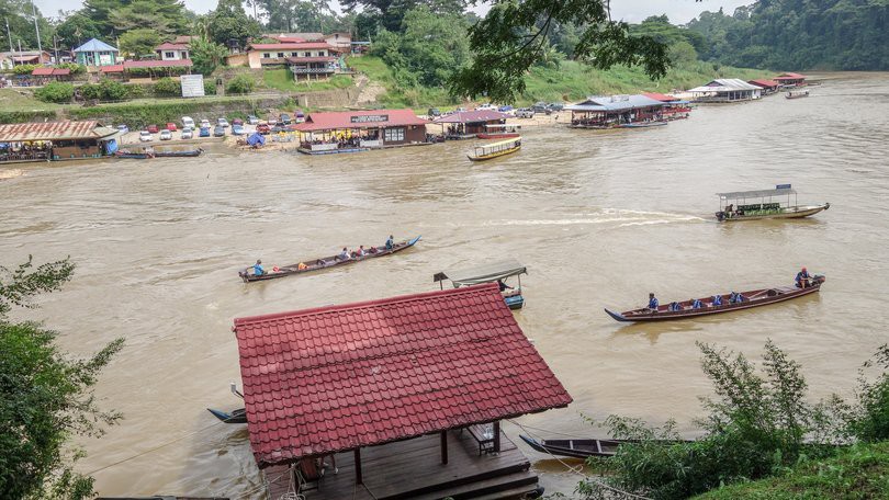 Taman Negara Pahang Kuala Tahan — galeri 2