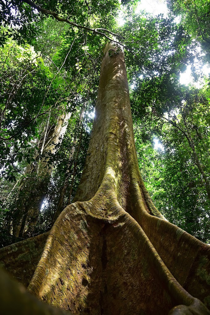 Gambar galeri Taman Rimba Kenong