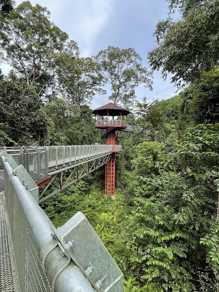 Gambar galeri Taman Negara Sungai Relau Merapoh