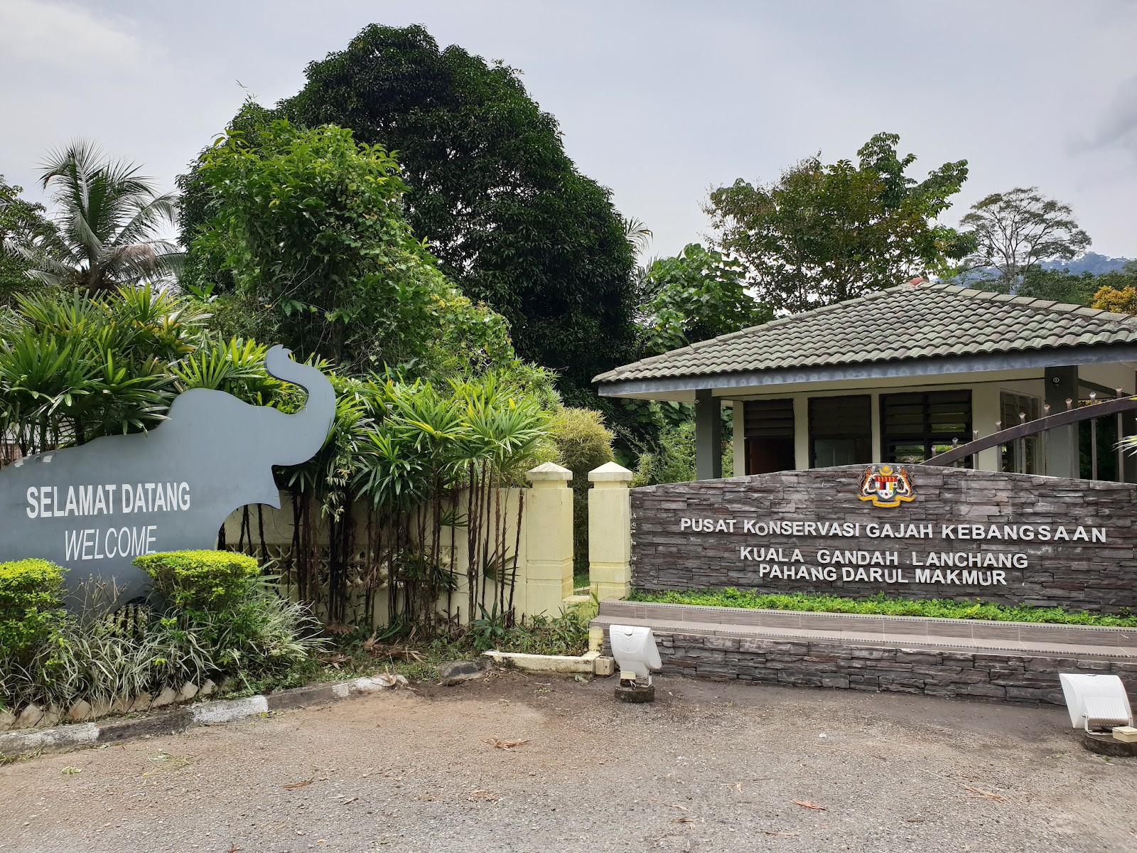 Pusat Konservasi Gajah Kebangsaan Kuala Gandah — galeri 2
