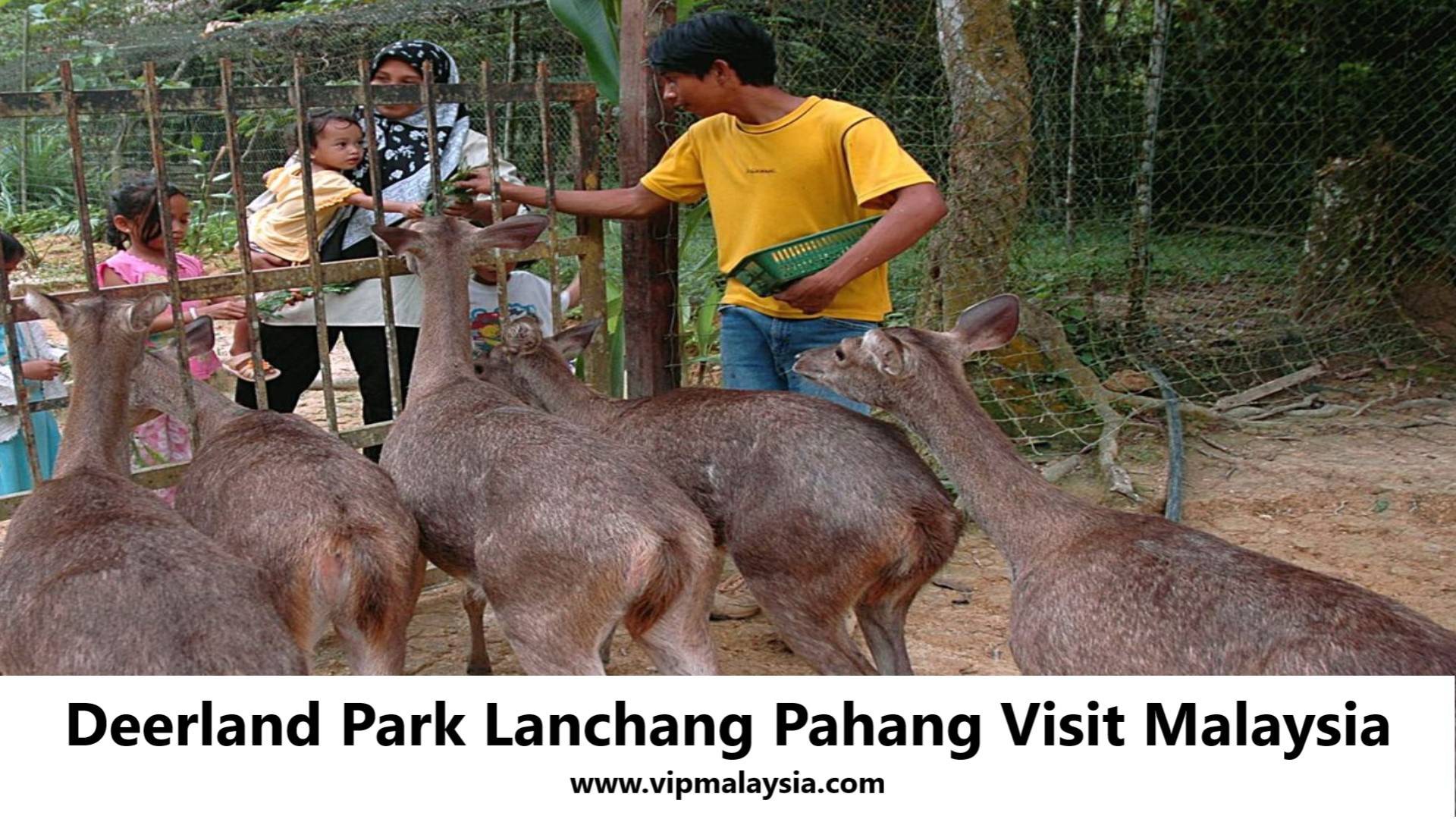 Deerland Park Lanchang — galeri 3