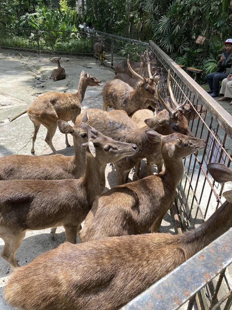 Gambar galeri Deerland Park Lanchang