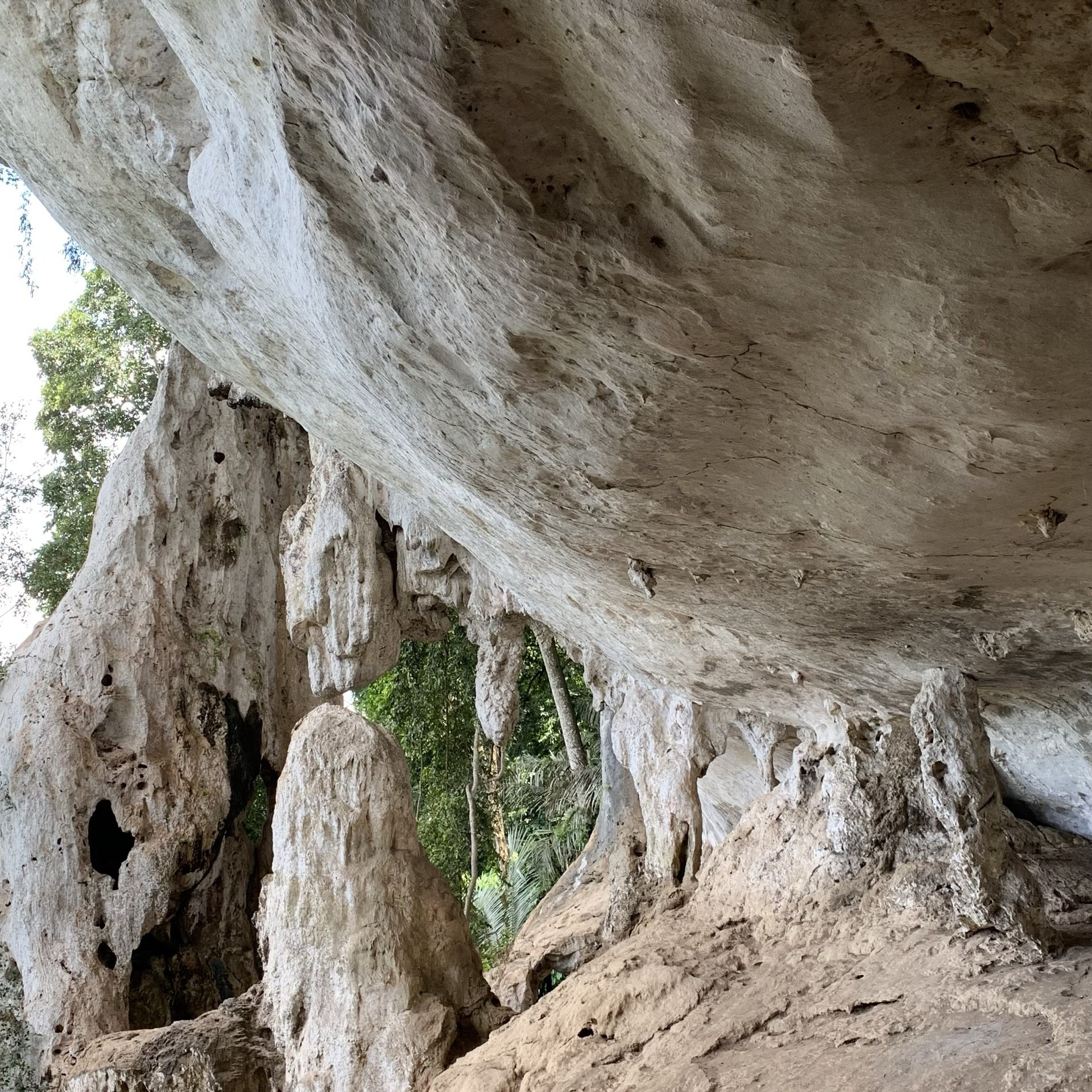 Gunung Senyum Recreational Forest — galeri 3