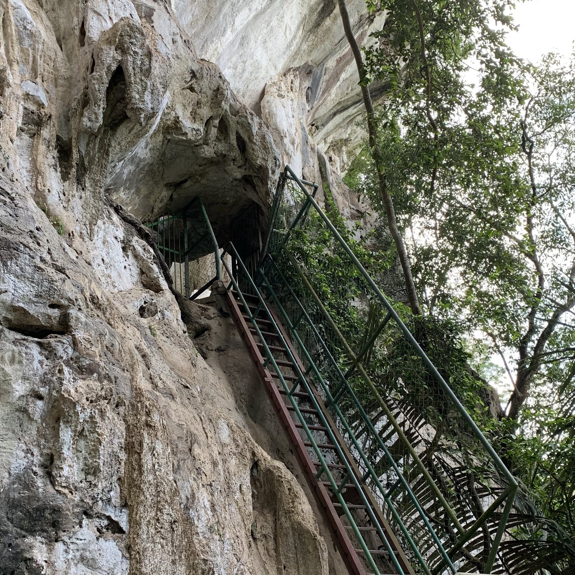 Gunung Senyum Recreational Forest — galeri 2