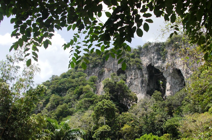 Gunung Senyum Recreational Forest — galeri 4