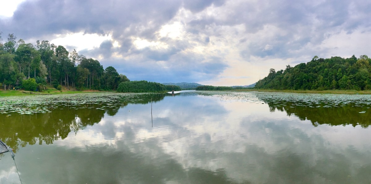 Tasik Chini — galeri 3